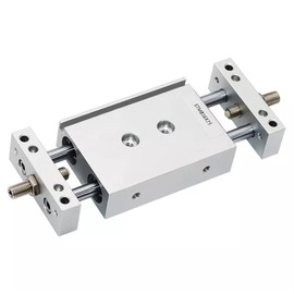 FESTAS STMB Double Piston Rod Compressed air Gas Cylinder bore 10 16 20 25mm Adjustable Stroke Slide Double Shaft Double Rod Cylinder (Color : Stmb25, Size : 125)