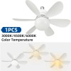 TSUINZ LED Ceiling Light Fan W/ Remote Adjustable Wind &