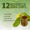 Green Life Guava Tea Leaves 150.