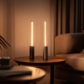 E.P. Light LED Table Lamp, 11.9 Inch Modern Ambient Light, Cordless Rechargeable,Mini Touch Lamp,Mood Lighting Portable Camping Lanterns (2)