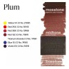 Permablend Plum Pigmento Para Maquillaje Permanente Labios