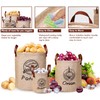 Kamehame Potato and Onion Storage Bag Set of 3, Reusable