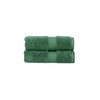 Christy Supreme Hygro 2 Hand Towels Set | Spruce Green