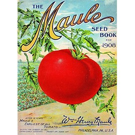 A SLICE IN TIME 1908 Maule Tomato Vintage Vegetable Seed Packet Catalogue Advertisement Poster