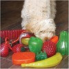 Rosewood Watermelon BioSafe Dog Toy