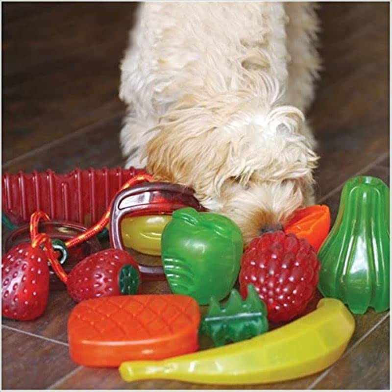 Rosewood Watermelon BioSafe Dog Toy