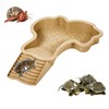 Large Turtle Bathing Pool with External Ramp - 11.2"x13.8"x1.7" Dual