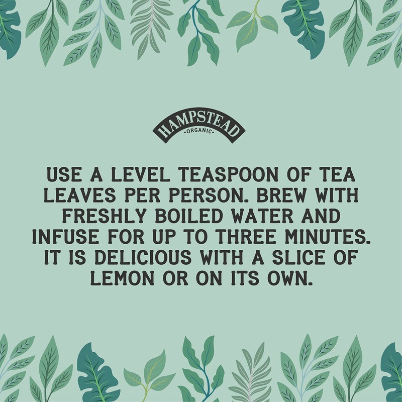Hampstead Organic Darjeeling Loose Leaf Tea 100 g (Pack of