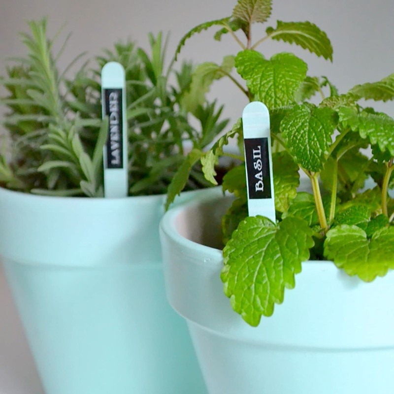 Brother P-Touch, PTD210, Easy-to-Use Label Maker Bundle (4 Label Tapes