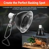 BOEESPAT High Efficiency 150W Reptile Heat Lamp Bulbs, Pack of