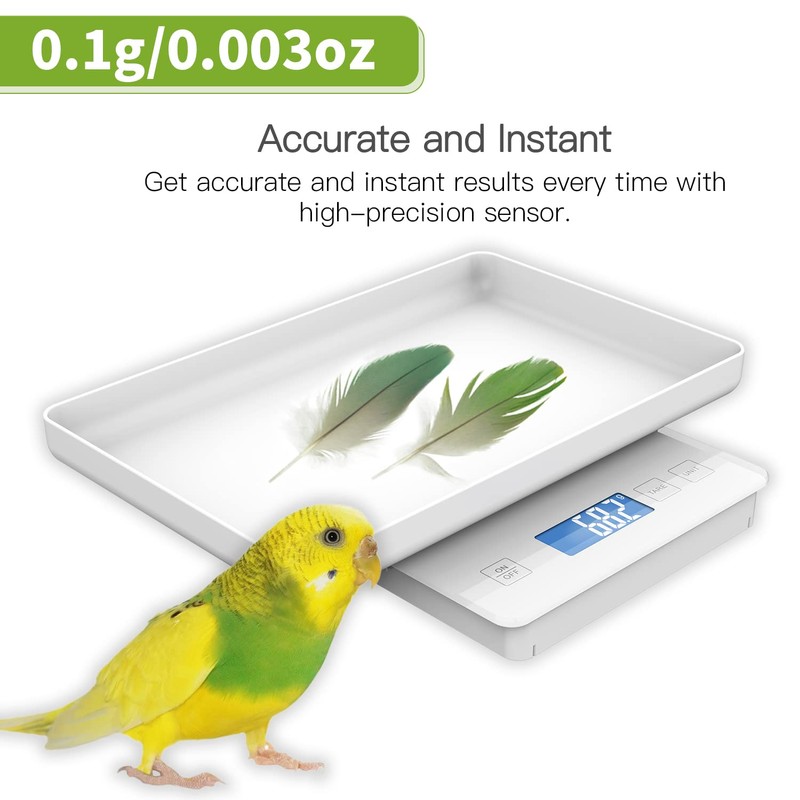 MINDPET-MED 11lbs/0.1g Pet Scale for Small Animal, Whelping Scale, Guinea