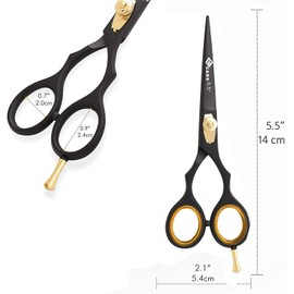 Professional Hairdressing Scissors, Japanese Stainless Steel Salon Scissors - 16.5 cm - Finely Adjustable Tension Screw - Premium Hair Cutting Scissors (Set (6.5")