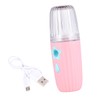 Ipetboom Facial High-tech Mist Beauty Sprayer Handheld Facial Steaming Machine