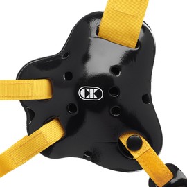 Cliff Keen Fusion Headgear (Black/Light Gold)