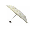 Conch umbrella Compact Folding Polka Dot umbrella, Small folding umbrella,