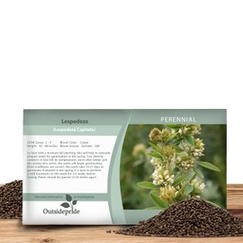 Outsidepride Round-Headed Bush Clover Seeds - 2000 Pcs Perennial Seeds for Planting, Easy to Grow, Drought & Heat Tolerant, High Protein Forage for Livestock, Ideal for Meadow Gardens & Xeriscaping