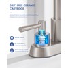 FELIXBATH Bathroom Sink Faucet with Pull Out Sprayer 2 Handles,