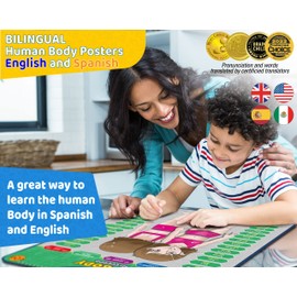 GUFINO Bilingual Learning Toys - Human Anatomy for Kids, Learn English & Learn Spanish for Kids: Human Body Model for Kids: Organs, Muscles & Bones, Ideal for Ages 5-12.