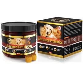 Hunde Probiotika – 100% natürlichen weichen Kausnacks zur täglichen Verdauungsunterstützung von Haustieren (Hühnergeschmack)