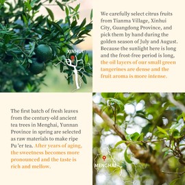 XIXICHA Tangerine Peel Pu-erh Tea Palace Dumpling Tea Xiaoqinggan Orange Puerh Xinhui ChenPi Pu'er Citrus Pu erh Xiao Qing Gan Yunnan 普洱茶 陈皮普洱茶 小青柑 广东新会小青柑 云南勐海普洱茶 熟茶 5.64oz