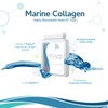 Marine Collagen 600mg 60 Capsules - Highly Bioavailable Naticol® Type