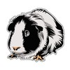 WickedGoodz Guinea Pig Decal - Pet Bumper Sticker - for