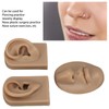 3D Nose and Mouth Model Silicone Ear Model Simulation Display