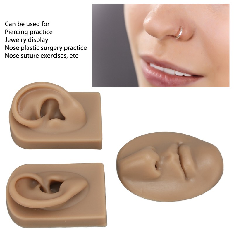 3D Nose and Mouth Model Silicone Ear Model Simulation Display