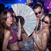Grevosea Large Folding Hand Rave Fan, 13" Glitter Holographic Rave