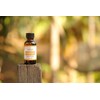 Vitality Extracts Frankincense Essential Oil - 30ml, Boswellia Serrata, Aromatherapy,