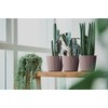 Tymar Flowerpot, planter, pack of 2, round shape (2 pack),