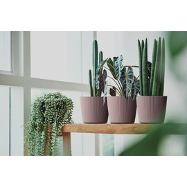 Tymar Flowerpot, planter, pack of 2, round shape (2 pack), matte black, diameter 30 cm)