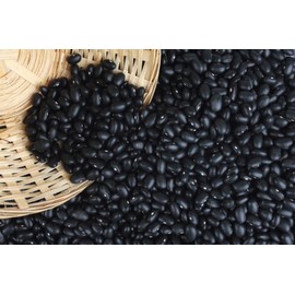 Black Turtle Heirloom Bush Bean - Hardy Plants Grow to 18-24" -Very Tasteful!!!(50 - Seeds)