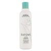 AVEDA [아베다](강남점)샴퓨어 너쳐링 샴푸 250ml_온가족용 [Aveda] (Gangnam Store) Pure-Nourish Shampoo 250ml - For Whole Family