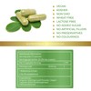 Lily Green | Organic Moringa 1500mg per Serving | 90