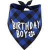 JPB Dog Birthday Boy Bandana