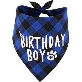 JPB Dog Birthday Boy Bandana