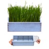 BENPIN Wooden Cat Grass Planter (no Seeds Included) with Anti