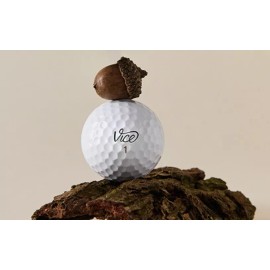 Vice Golf Pro Go Nutz Golf Balls PGA Championship Rochester Hills