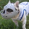 Dog Muzzle for Short Snout Dogs Breathable Holes Prevent Biting