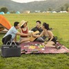 Picnic Bag Foldable Picnic Basket Insulated Comfortable Handle Ice Pockets