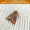 Meldoz Clothes Moth Traps with Powerful Pheromones, Non-Toxic & Odor-Free