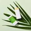 Antimos multi balm for camping, walking and fishing trips /