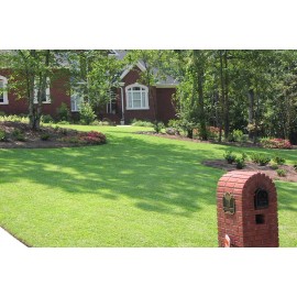 Tifblair Centipede Grass Seed (Certified) - Select Your Size - 1/2 lb.