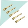 Mikinona 5pcs Gold Color Facial Cosmetic Spoons Metal Makeup Spatula