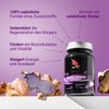 Carnium Botanicals Black Ginger Extrakt – Vegane Ingwer Kapseln, Glutenfrei,