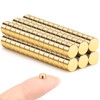 Wukong Gold Magnets 5x2.5mm | 80 Pack, Strong Round Magnet