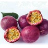 50 Passion Fruit Seeds, Passion Flower Exotic Edible Tropical Fragrant