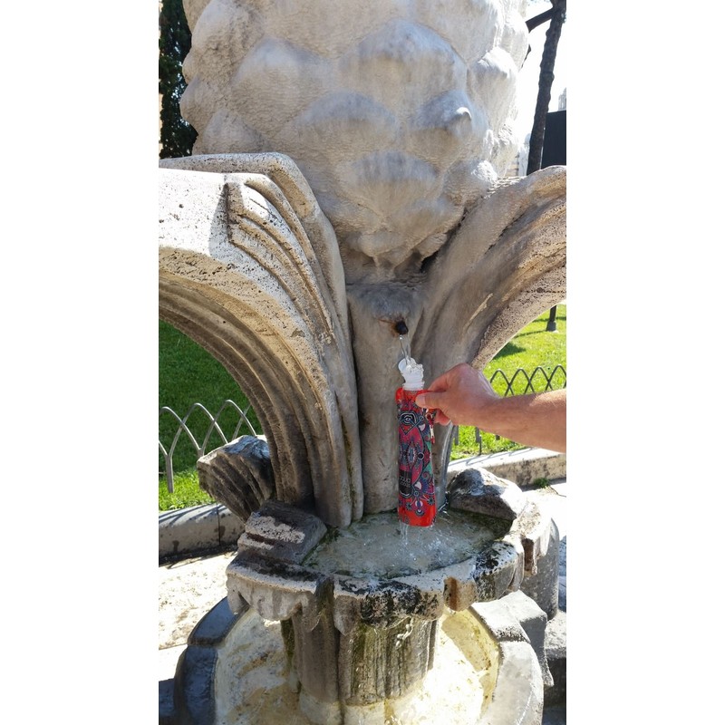 Aqua Licious 6386 Foldable Water Bottle with Carabiner Lion