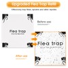 Flea Trap Refill Discs Sticky Trap- Glue Board Refills 16